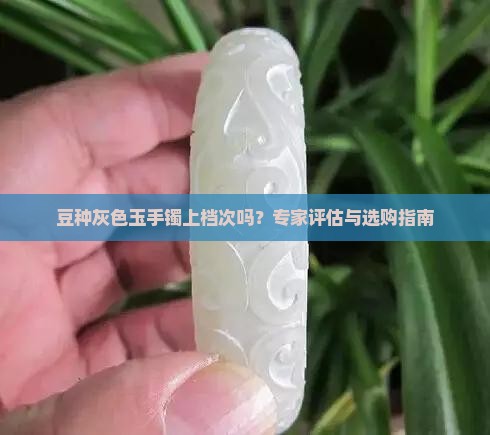 豆种灰色玉手镯上档次吗？专家评估与选购指南