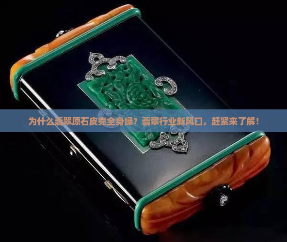 为什么翡翠原石皮壳全身绿？翡翠行业新风口，赶紧来了解！