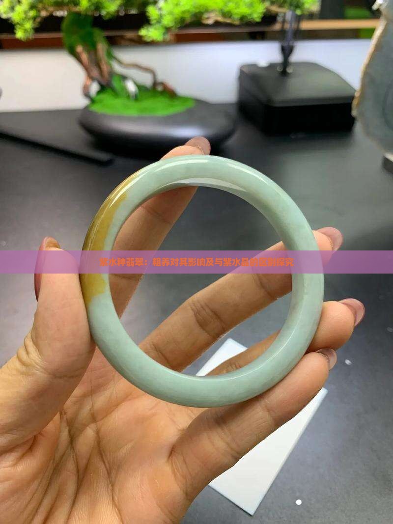 紫水种翡翠：粗养对其影响及与紫水晶的区别探究