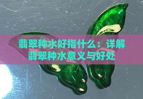 翡翠种水好指什么：详解翡翠种水意义与好处