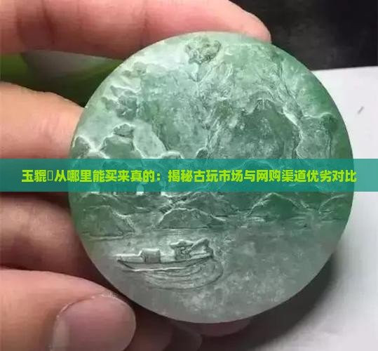 玉貔恘从哪里能买来真的：揭秘古玩市场与网购渠道优劣对比