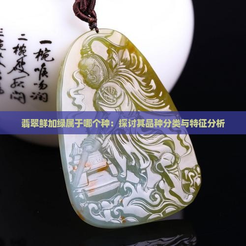 翡翠鲜加绿属于哪个种：探讨其品种分类与特征分析