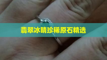 翡翠冰晴珍稀原石精选