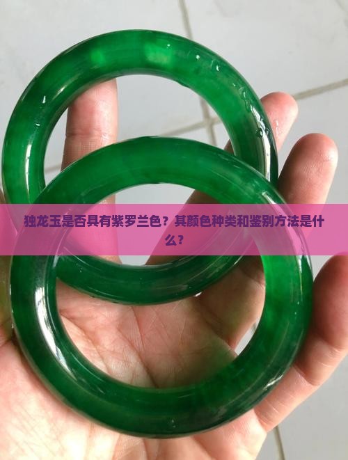 独龙玉是否具有紫罗兰色？其颜色种类和鉴别方法是什么？