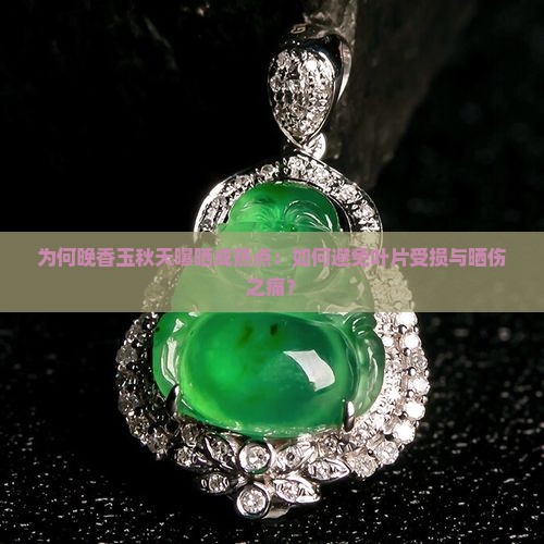 为何晚香玉秋天曝晒成热点：如何避免叶片受损与晒伤之痛？