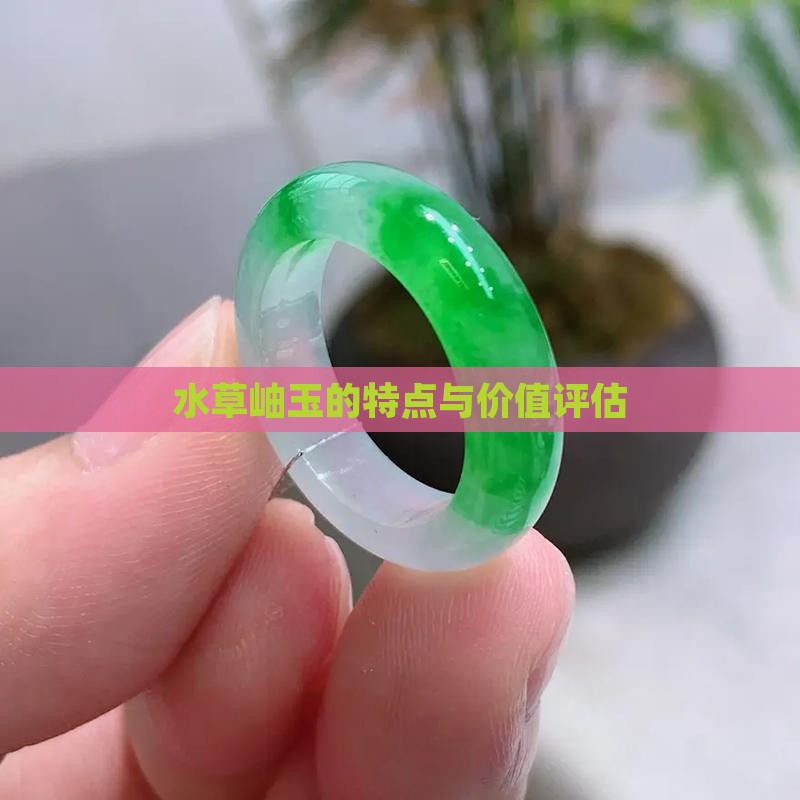 水草岫玉的特点与价值评估