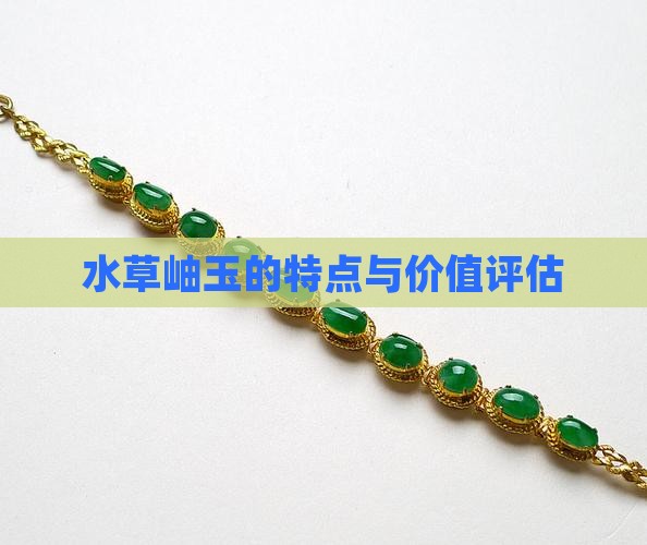 水草岫玉的特点与价值评估