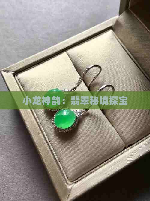小龙神韵：翡翠秘境探宝