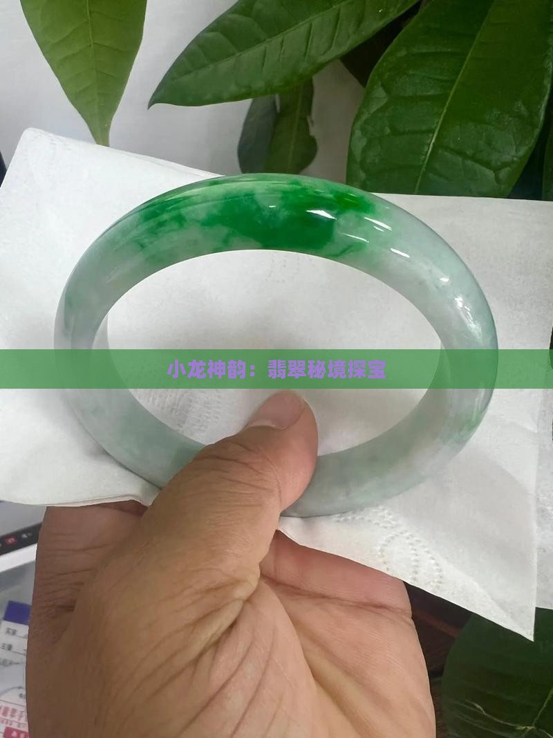 小龙神韵：翡翠秘境探宝