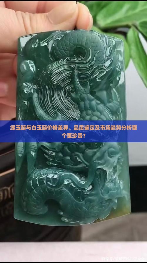 绿玉髓与白玉髓价格差异、品质鉴定及市场趋势分析哪个更珍贵？