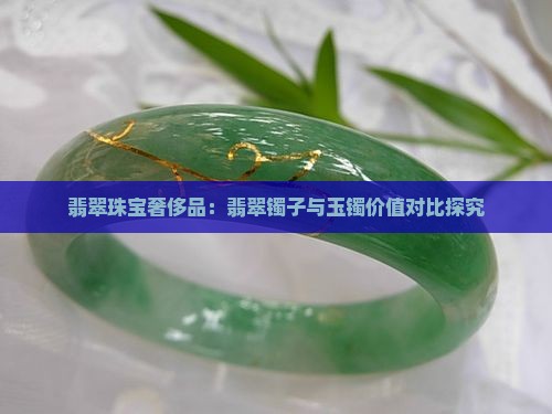 翡翠珠宝奢侈品：翡翠镯子与玉镯价值对比探究