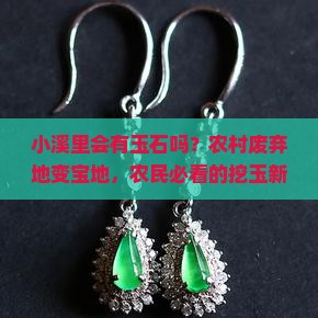 小溪里会有玉石吗？农村废弃地变宝地，农民必看的挖玉新方法