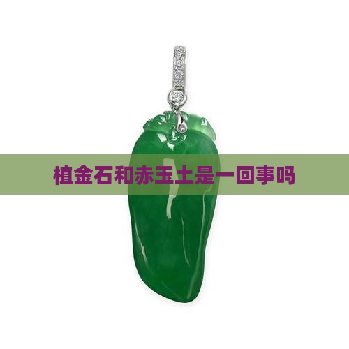 植金石和赤玉土是一回事吗