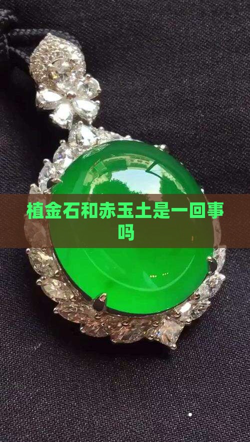 植金石和赤玉土是一回事吗