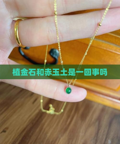 植金石和赤玉土是一回事吗