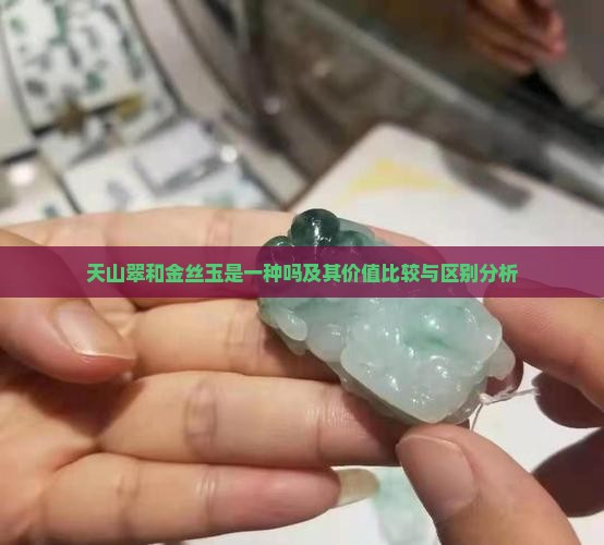 天山翠和金丝玉是一种吗及其价值比较与区别分析