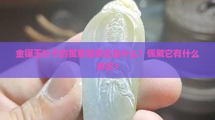金镶玉叶子的寓意和象征是什么？佩戴它有什么讲究？