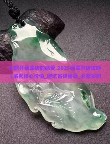 东莞开翡翠店的感受