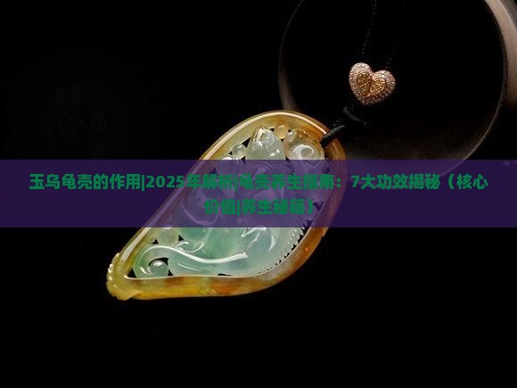玉乌龟壳的作用