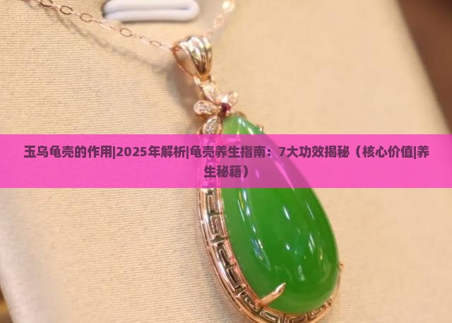 玉乌龟壳的作用