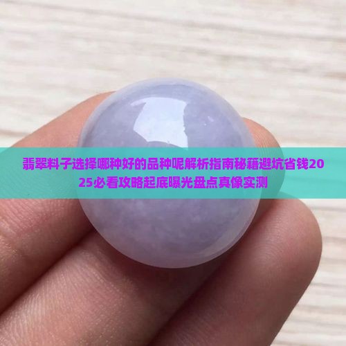 翡翠料子选择哪种好的品种呢