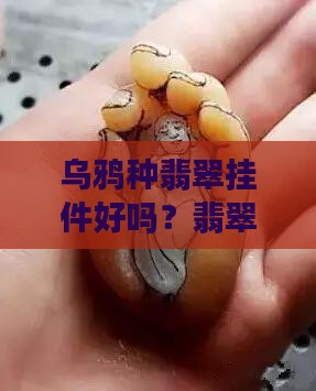 乌鸦种翡翠挂件