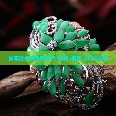 属龙适合戴玉葫芦吗 属龙适合戴玉葫芦吗