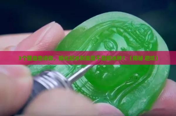 糯化起冰是糯冰种吗 糯化起冰是糯冰种吗
