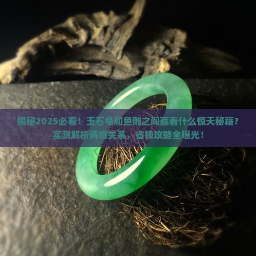 玉石龟和鱼雕什么关系