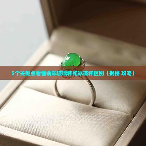 翡翠玻璃种和冰玻种区别在哪