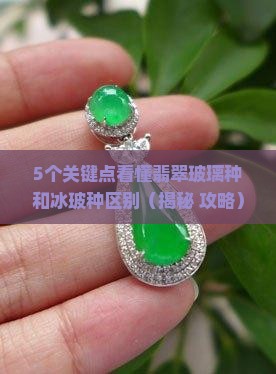 翡翠玻璃种和冰玻种区别在哪