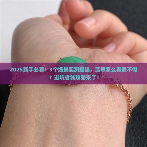 翡翠怎么看出来假不假品