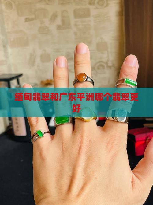 缅甸翡翠和广东平洲哪个好
