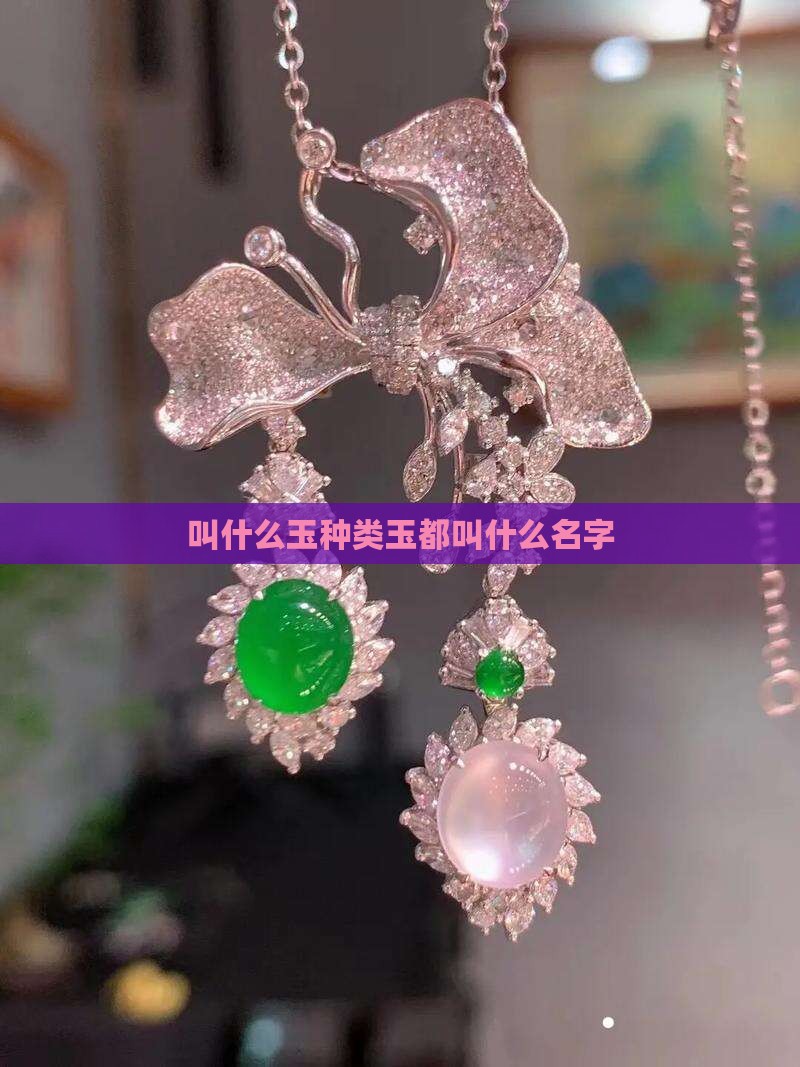 叫什么玉种类