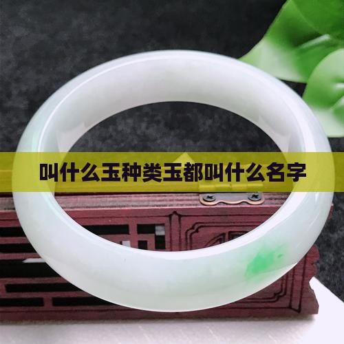叫什么玉种类