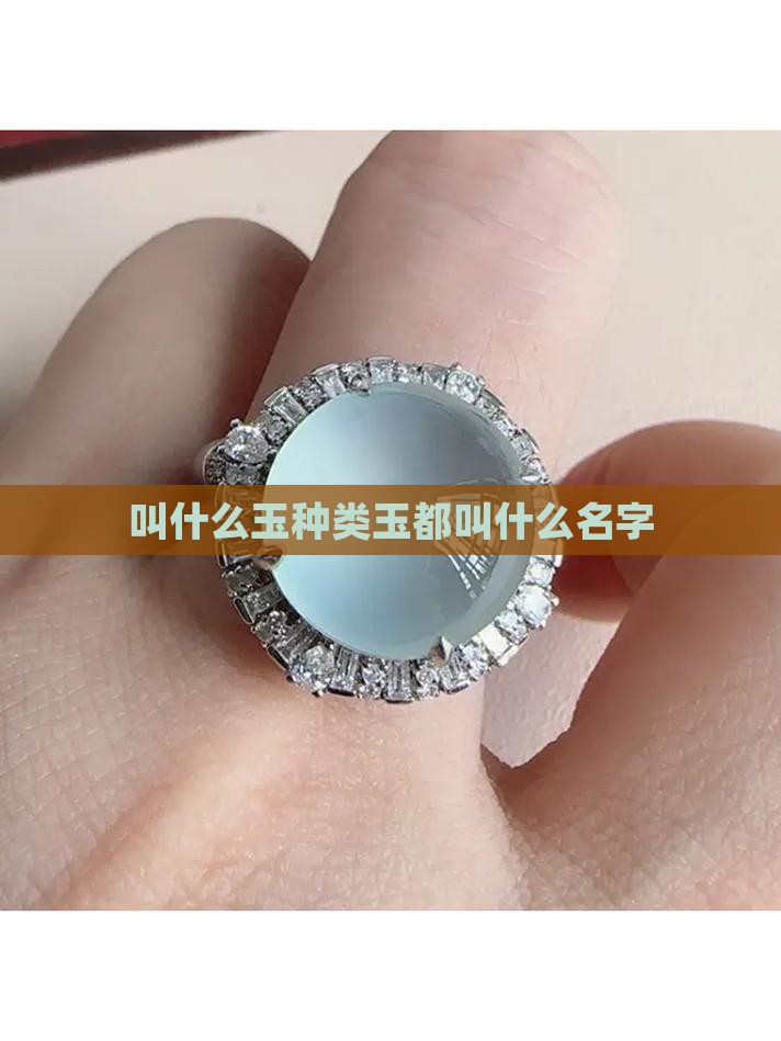 叫什么玉种类