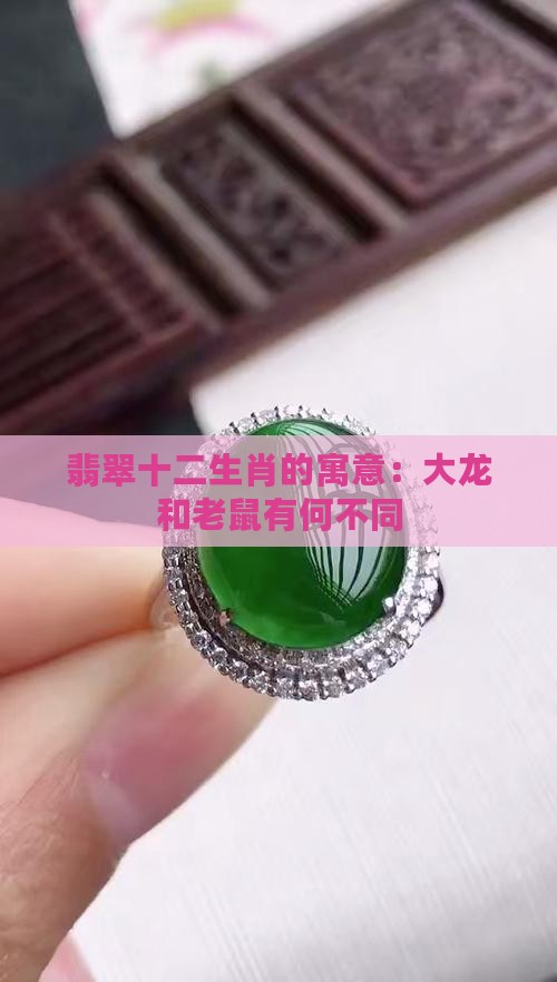 翡翠大龙和老鼠的寓意一样吗