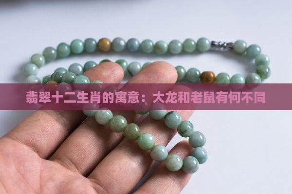 翡翠大龙和老鼠的寓意一样吗