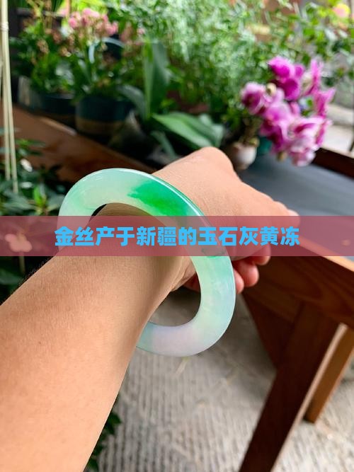 金丝玉灰黄冻