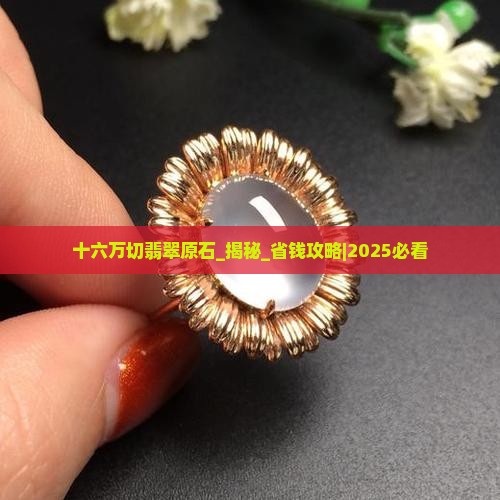 十六万切翡翠原石