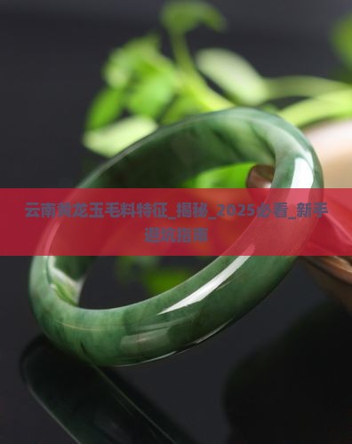 云南黄龙玉毛料特征