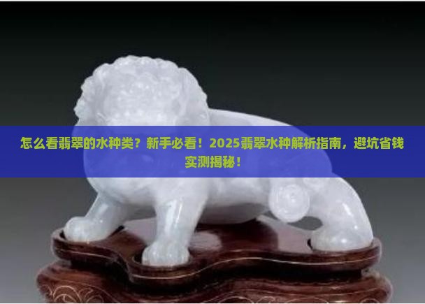 怎么看翡翠的水种类