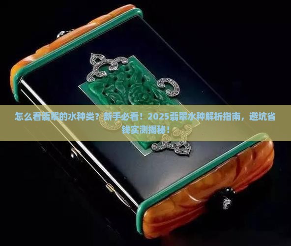 怎么看翡翠的水种类