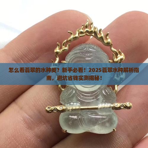 怎么看翡翠的水种类