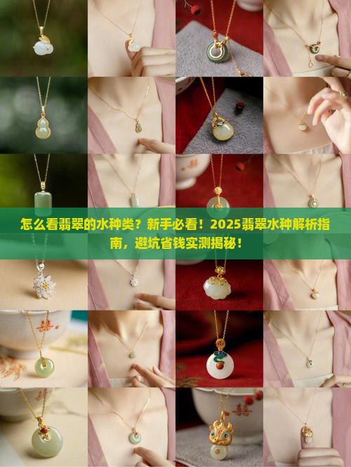 怎么看翡翠的水种类