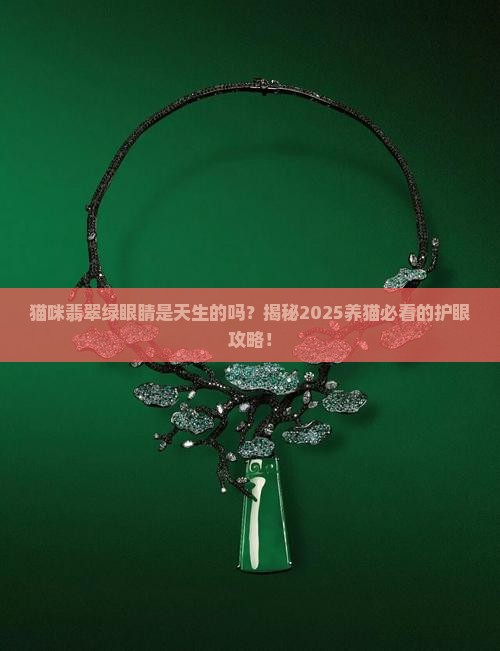 猫咪翡翠绿眼睛