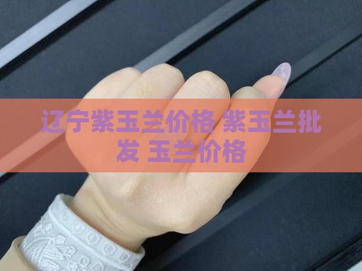 辽宁紫玉兰价格