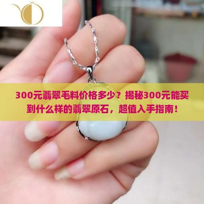 300元翡翠毛料价格多少