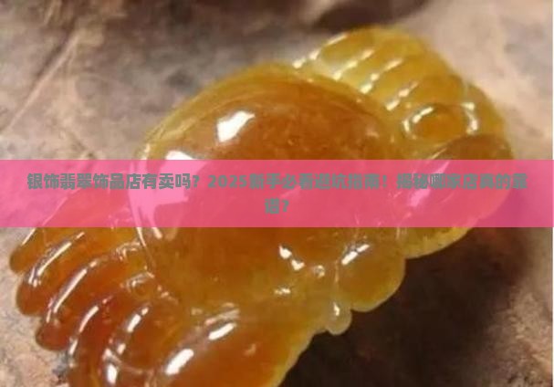 银饰翡翠饰品店有卖吗