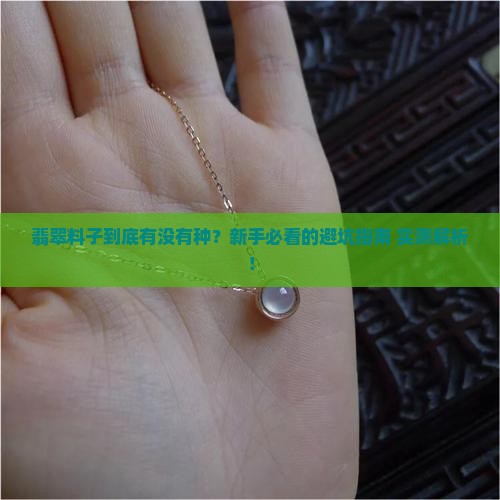 翡翠料子怎么看有没有种